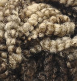 Kod 5574