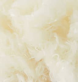 Kod 62
