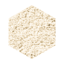 Kod K019